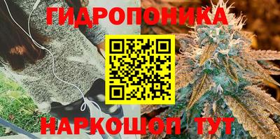 spice Малгобек