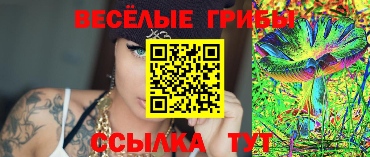 Галлюциногенные грибы Psilocybe  Вход с VPN  Фрязино 